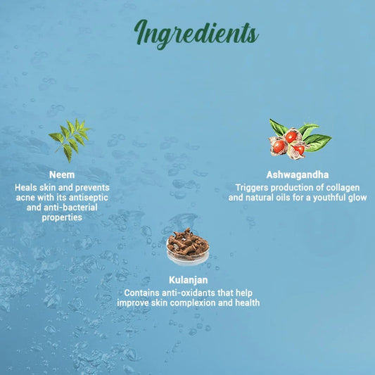 Biotique Fresh Neem Purifying Face Wash, Prevents Pimples For All Skin Types