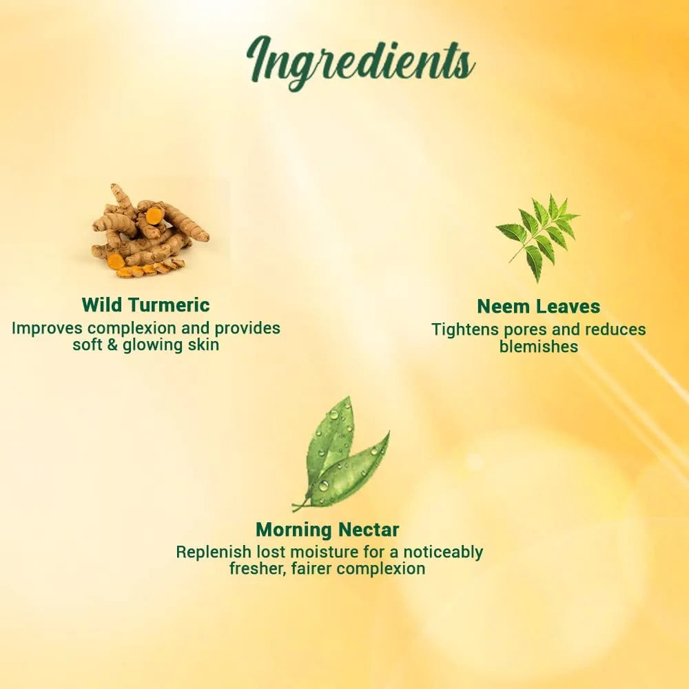 Biotique Morning Nectar Sun Protect Moisturizer, SPF - 30+ - 120 ml