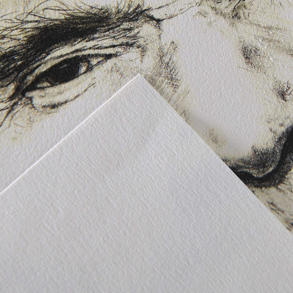 Canson 'C A Grain' A4 Natural White Light Grain 125 Gsm Drawing Paper (Pack Of 250 Sheets)