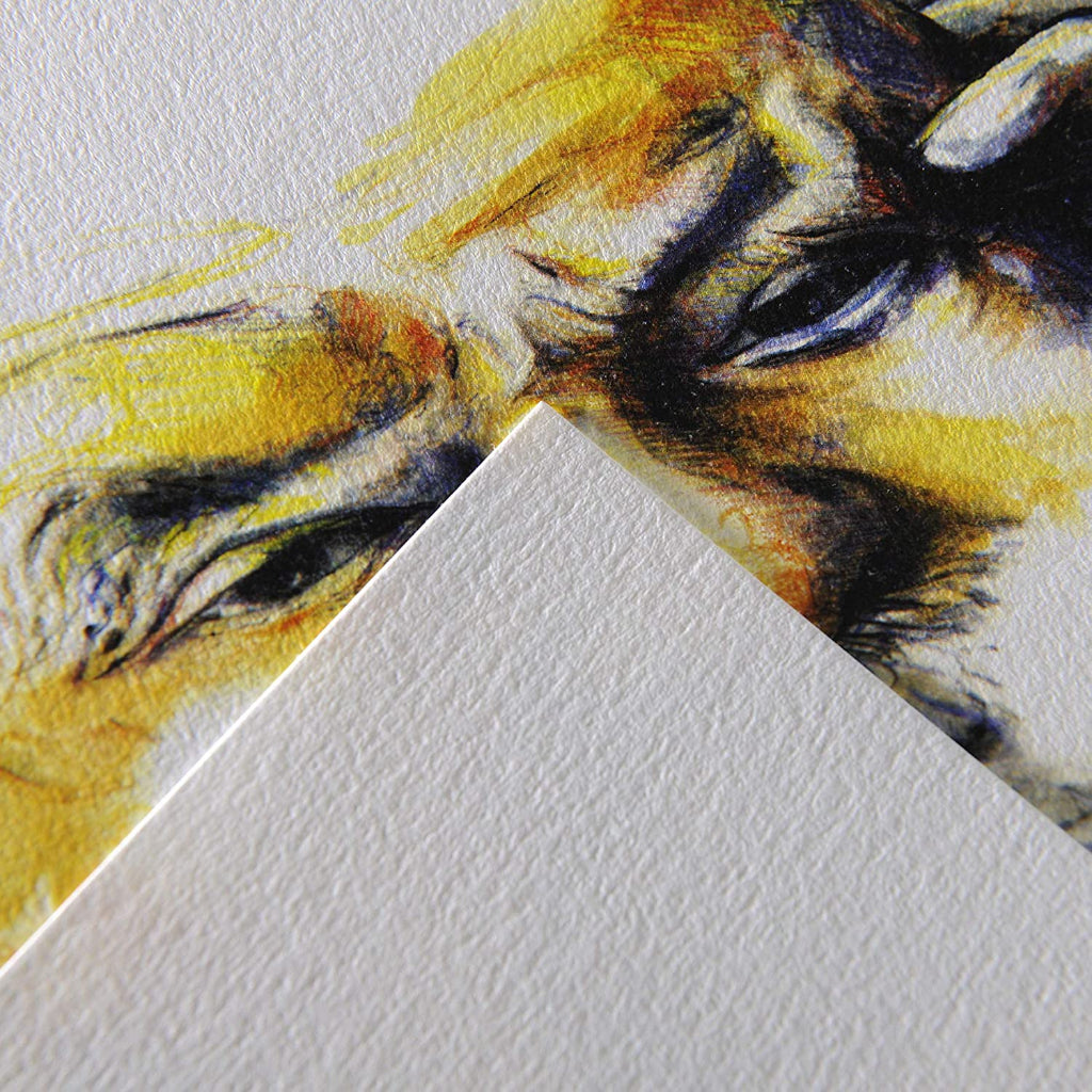 Canson 'C A Grain' A4 Natural White Light Grain 224 Gsm Drawing Paper (Pack Of 250 Sheets)