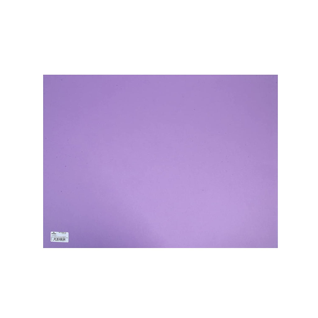 Canson Colorline 300 Gsm Grainy 50 X 65 Cm Coloured Drawing Paper Sheets(Lilac- 10 Sheets)