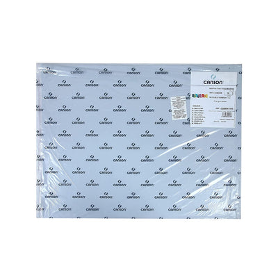 Canson Colorline 300 Gsm Grainy 50 X 65 Cm Coloured Drawing Paper Sheets(Light Grey- 10 Sheets)