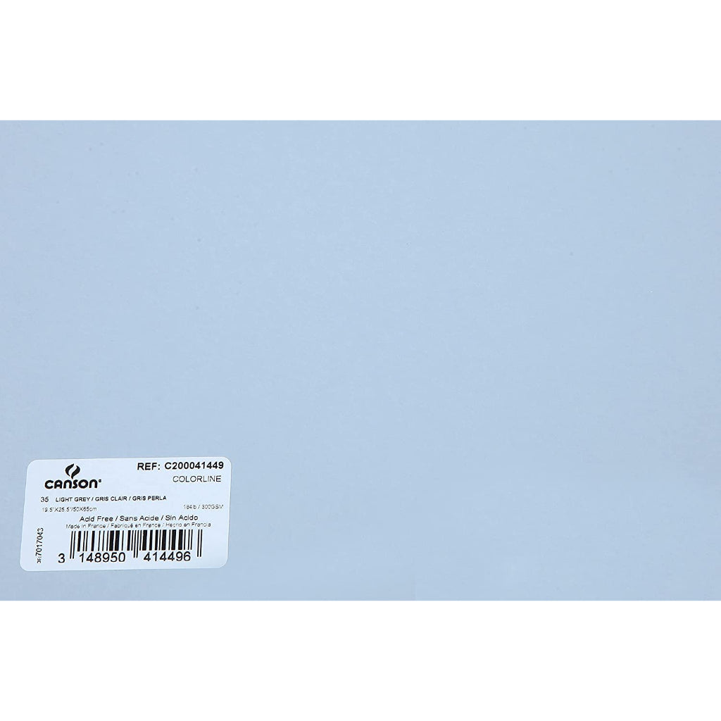 Canson Colorline 300 Gsm Grainy 50 X 65 Cm Coloured Drawing Paper Sheets(Light Grey- 10 Sheets)