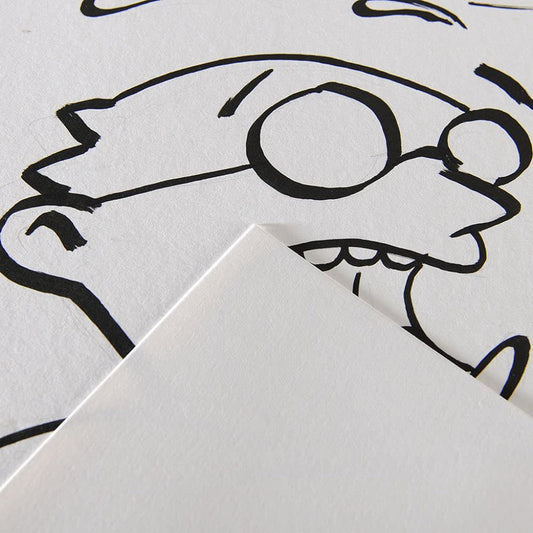 Canson Illustration 250 Gsm Smooth Texture A4 Drawing Paper Pad (White- 12 Sheets)