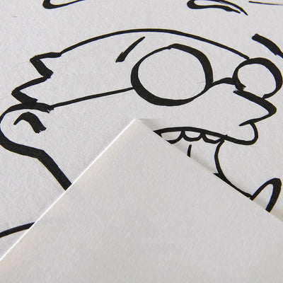 A3 Canson Illustration 250Gsm (12 Sheets)
