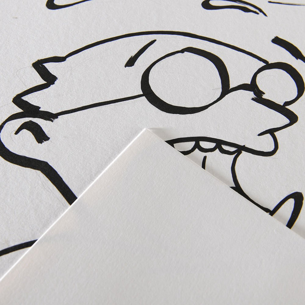 A3 Canson Illustration 250Gsm (12 Sheets)