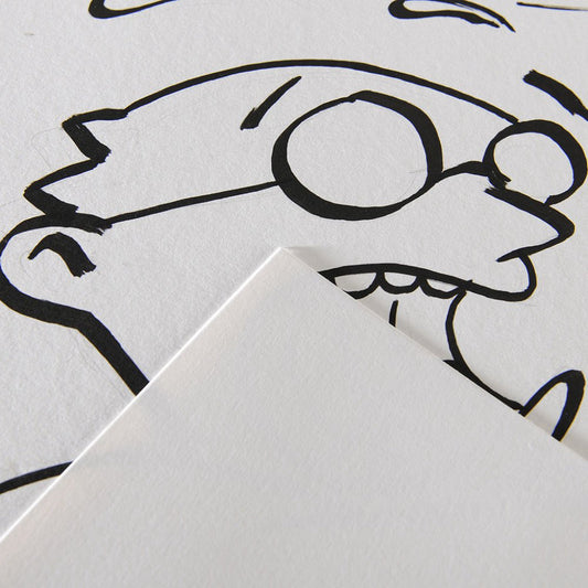 A3 Canson Illustration 250Gsm (12 Sheets)