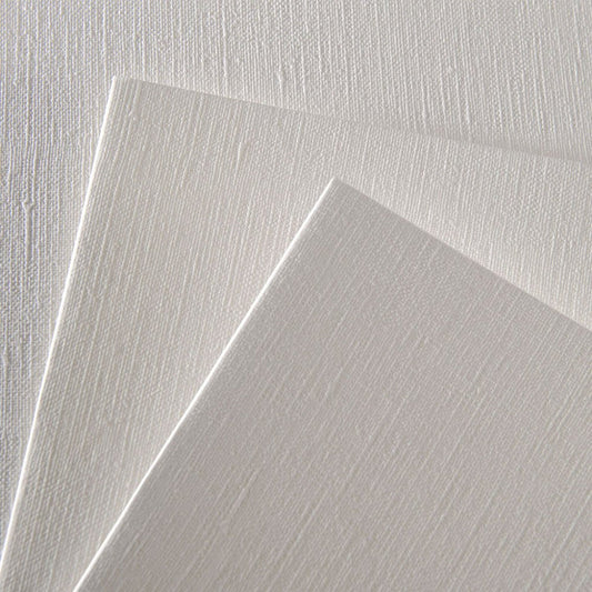 Canson Fine Arts Folder 24 X 32 Cm Natural White Canvas Grain 290 Gsm Figueras Drawing Paper (6 Sheets)