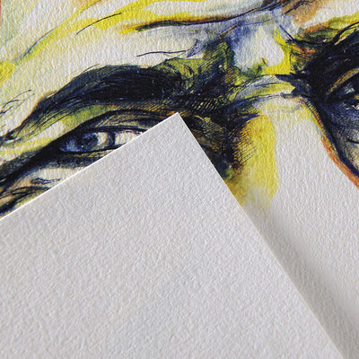 Canson C  Grain Drawing 180 Gsm Fine Grain 14.8 X 22.7 Cm Paper Spiral Pad(Natural White- 30 Sheets)