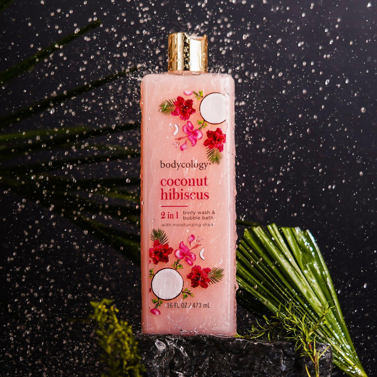 Bodycology Coconut Hibiscus Body Wash & Body Cream |Cleanse, Hydrates, Moisturizes & Lightweight | For Dehydrated, Dull & Dry Skin | Paraben & Phthalete Free, Cruelty Free - Combo of 2