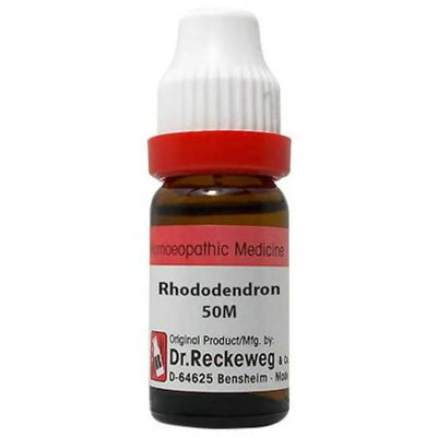 Dr. Reckeweg Rhododendron Dilution