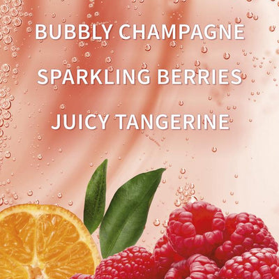 Champagne Toast Gentle Clean Foaming Hand Soap | 259 ML