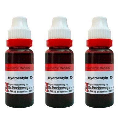Dr. Reckeweg Hydrocotyle Asiat Mother Tincture Q