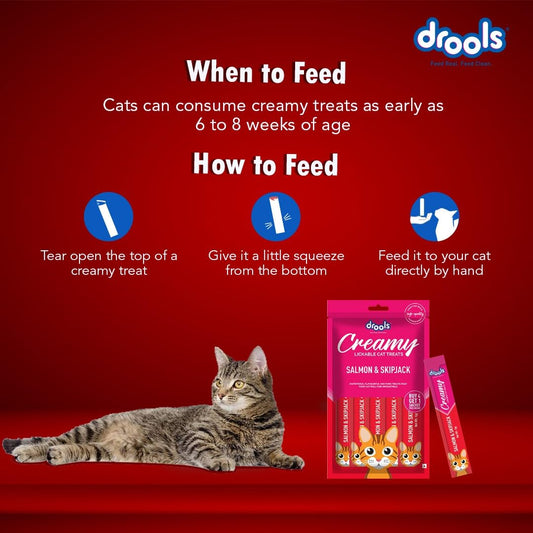 Drools Creamy Lickable Cat Treat for Cats – Salmon & Skipjack, 75gms x 5 Sachets- Set Of 5