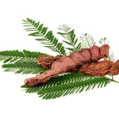Al Masnoon Shikakai Powder