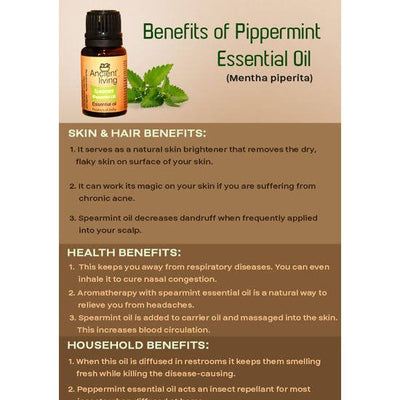 Ancient Living Spearmint (Peppermint Oil) Essential Oil