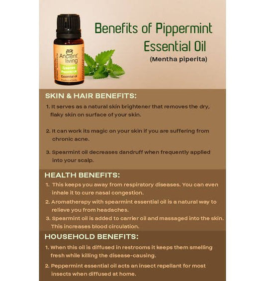 Ancient Living Spearmint (Peppermint Oil) Essential Oil