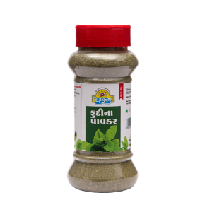 Spyran Retail Fudina Powder Jar 100 gms