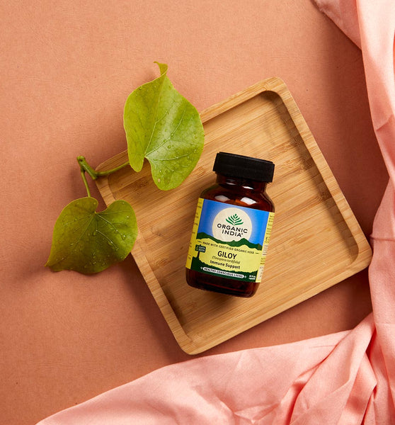 Organic India Giloy 60 Capsule Bottle