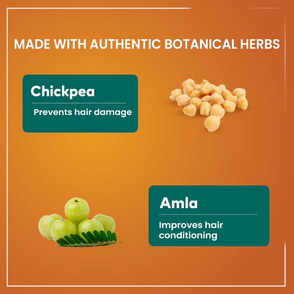 Himalaya Protein Hair Cream, Keeps Hair Healthy (100 ml)