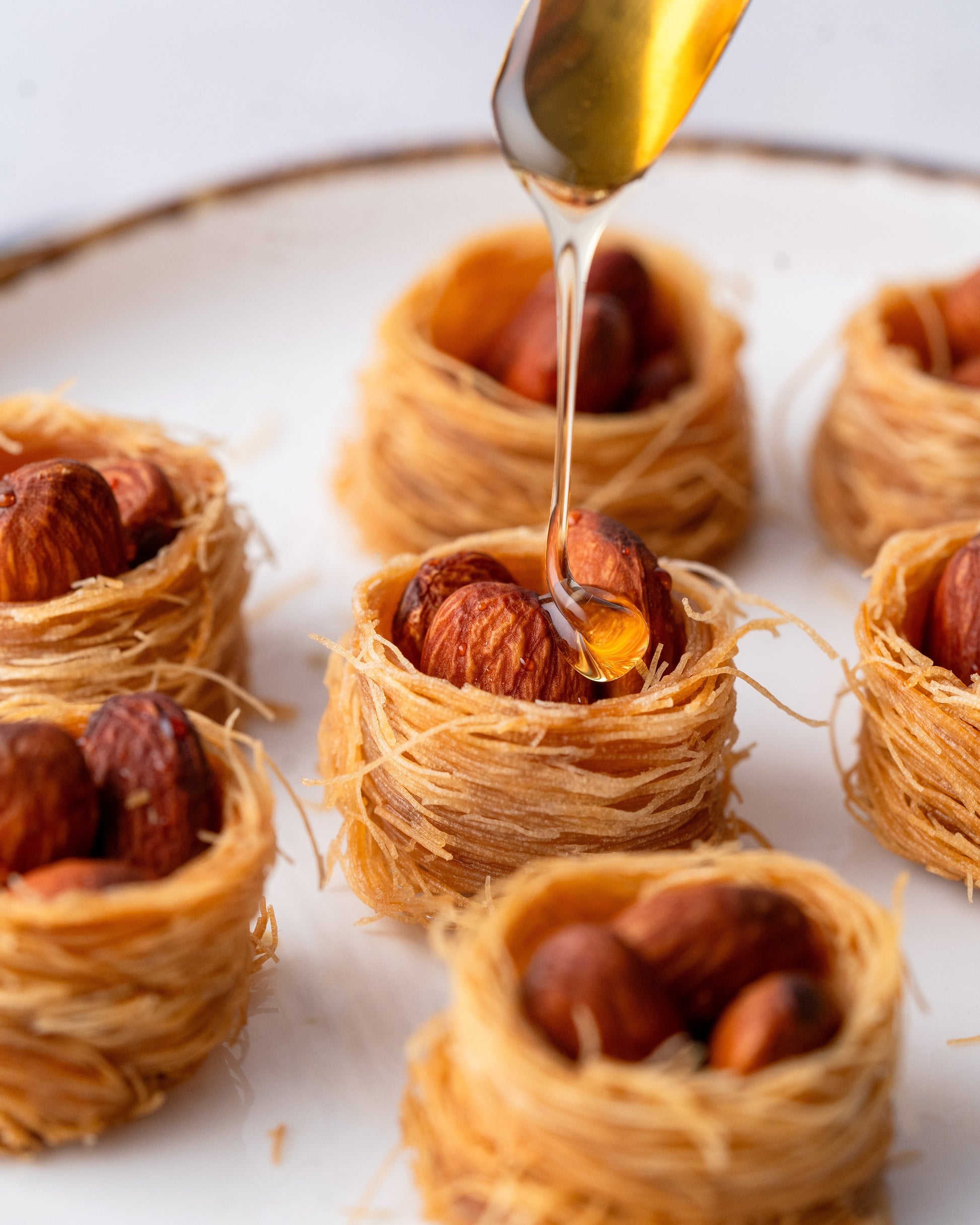 Gourmet Baklava Elite Connoisseur Gift Box