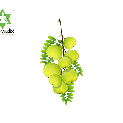 Ayurvedix Organic Amla Powder