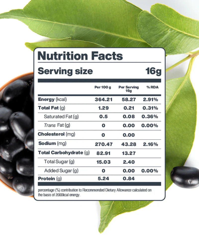 Moon Freeze Dried Jamun Cubes | 16 gms