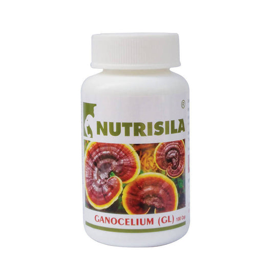 Extasy Nutrisila Gano Celium (GL) Capsules