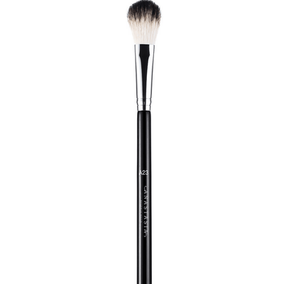 Anastasia Beverly Hills Brush A23
