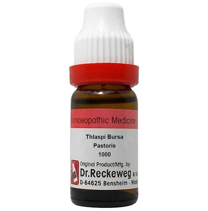 Dr. Reckeweg Thlaspi Bursa Pastoris Dilution