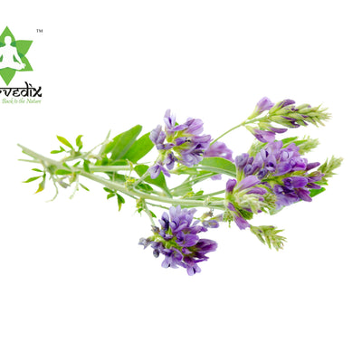 Ayurvedix Organic Alfalfa Powder