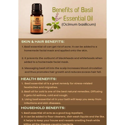 Ancient Living Tulasi Taila (Basil Oil) Essential Oil