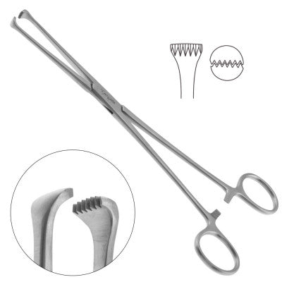 Lockwood Allis Tissue Forceps 6-1/4" (160mm)
