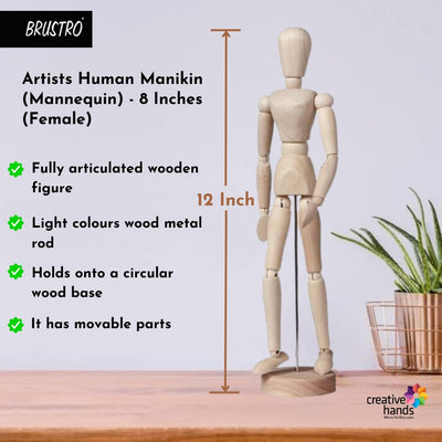 BRUSTRO Manikins (12 Inch Male & Female)