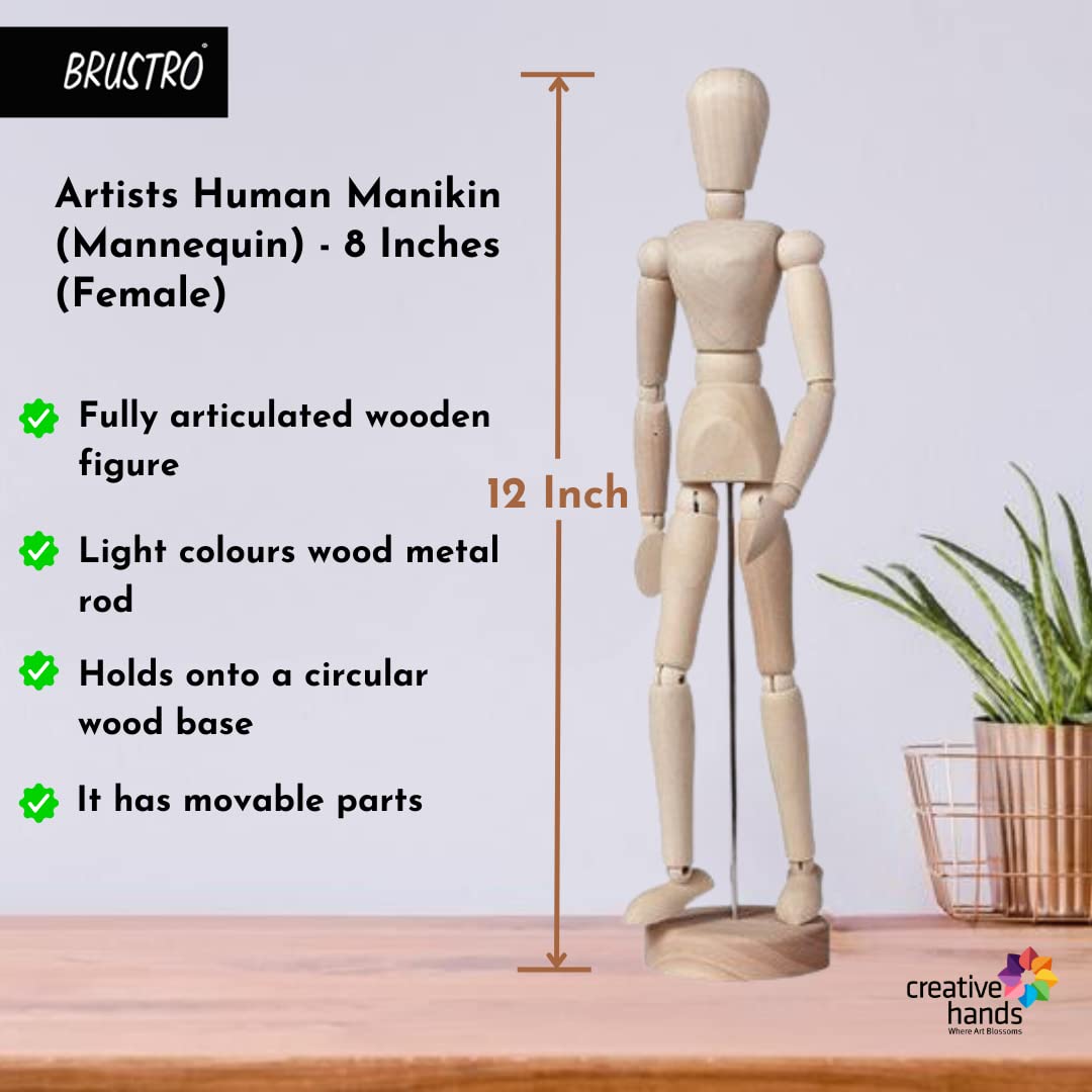 BRUSTRO Manikins (12 Inch Male & Female)