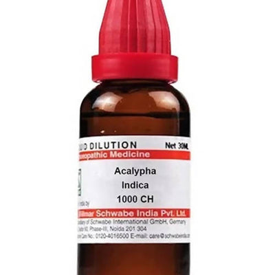 Dr. Willmar Schwabe India Acalypha Indica Dilution