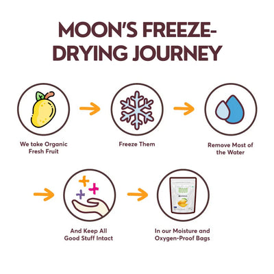 Moon Freeze Dried Blueberry | 16 gms