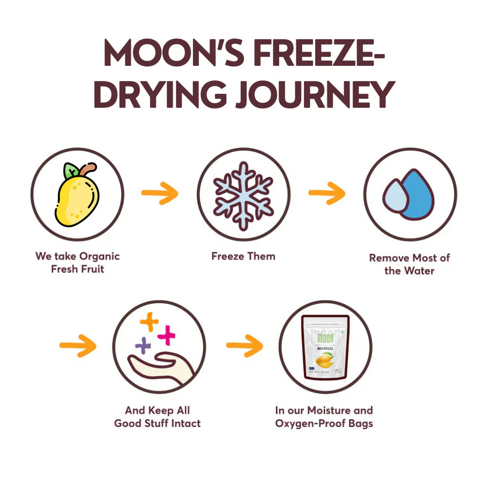 Moon Freeze Dried Jamun Cubes | 16 gms