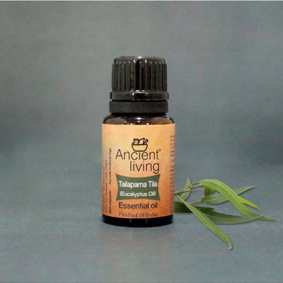 Ancient Living Tailaparna Tila (Eucalyptus Oil) Essential Oil
