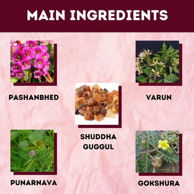 Herbal Hills Ayurveda Proscarehills Tablets