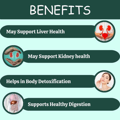 Herbal Hills Ayurveda Punarnavahills Capsules