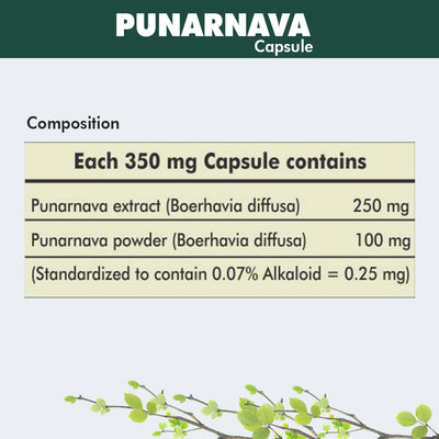 Herbal Hills Ayurveda Punarnavahills Capsules