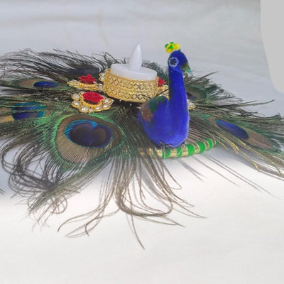 Peacock Tlight