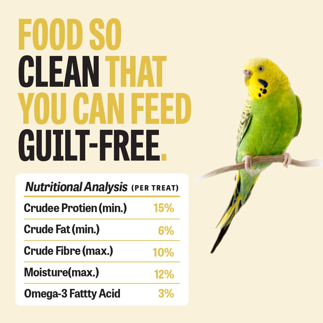 Petcrux Premium Mixed Seeds Bird Food – 6 Grain & Seed Blend, 100% Natural & Additive-Free Feed for All Birds (1 kg)