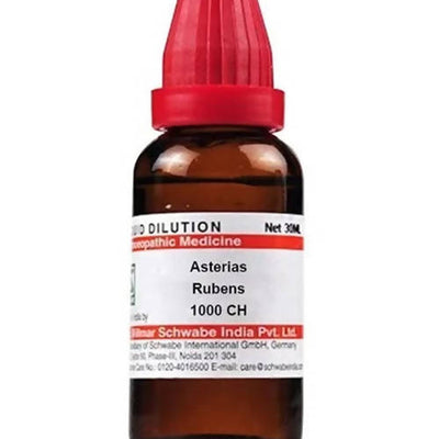 Dr. Willmar Schwabe India Asterias Rubens Dilution
