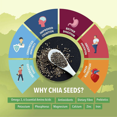 Fulsome Premium White Chia Seeds
