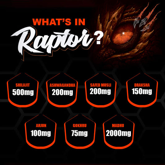 Dr Morpen Raptor