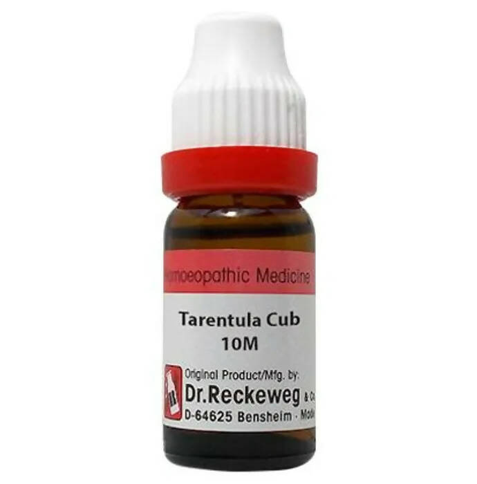 Dr. Reckeweg Tarentula Cub Dilution