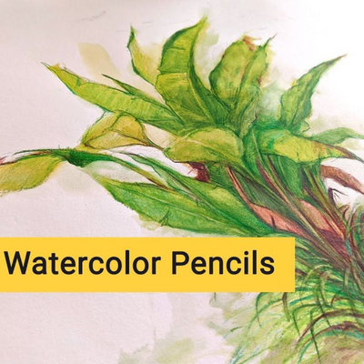 BRUSTRO Artists Watercolour Pencil Set of 72 in Elegant tin Box