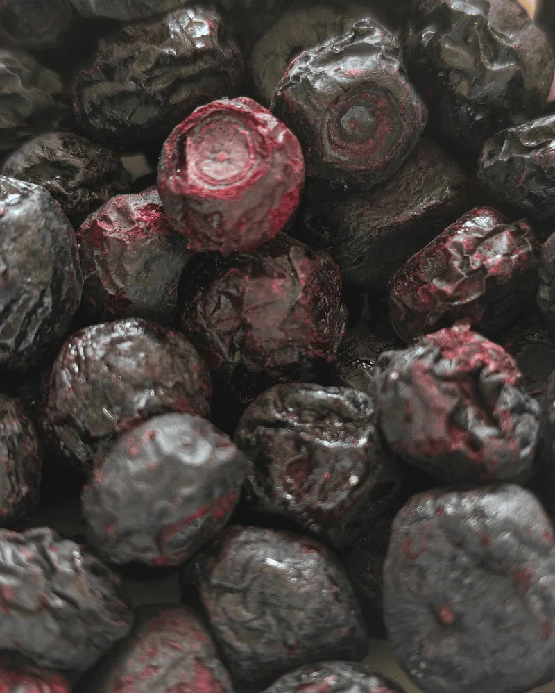 Moon Freeze Dried Blueberry | 16 gms